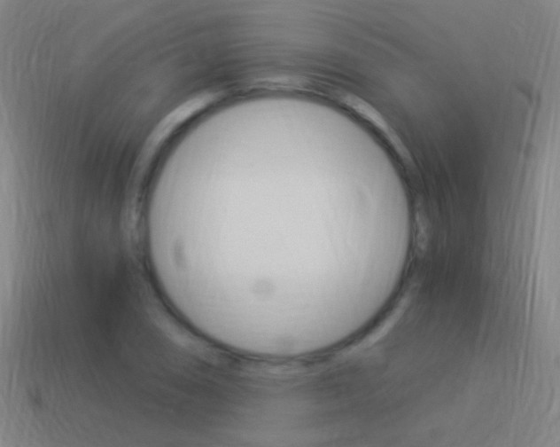 X0000114521074200910190945