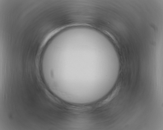 X0000114521077200910190945