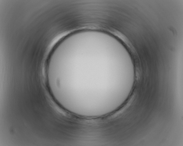 X0000114521078200910190945