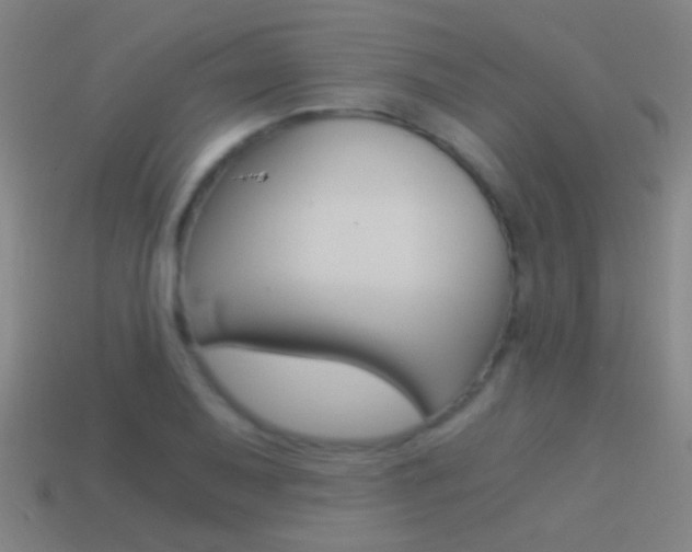 X0000114521079200910190945