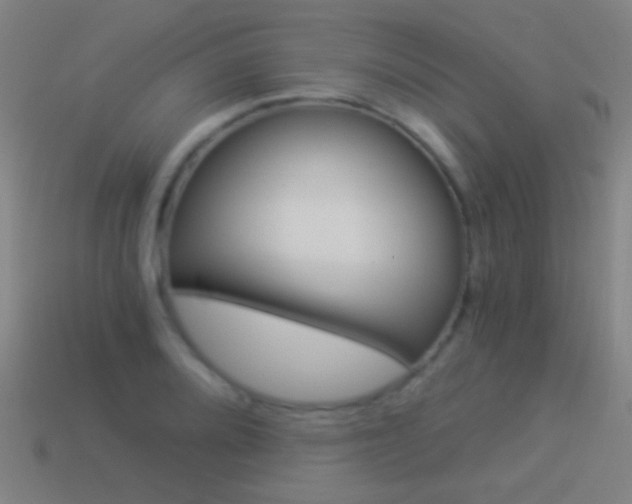 X0000114521080200910190945