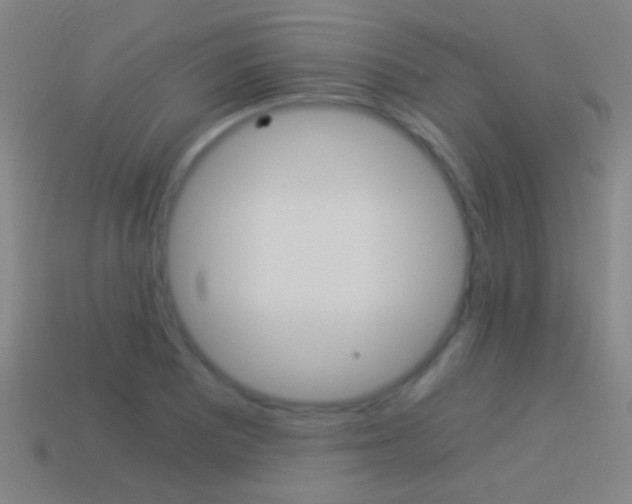 X0000114521081200910190945