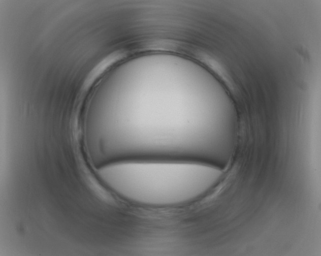 X0000114521082200910190945