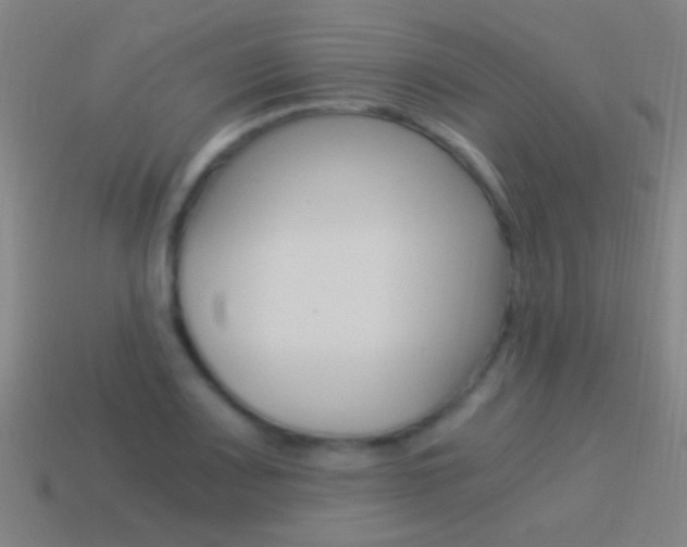 X0000114521083200910190945
