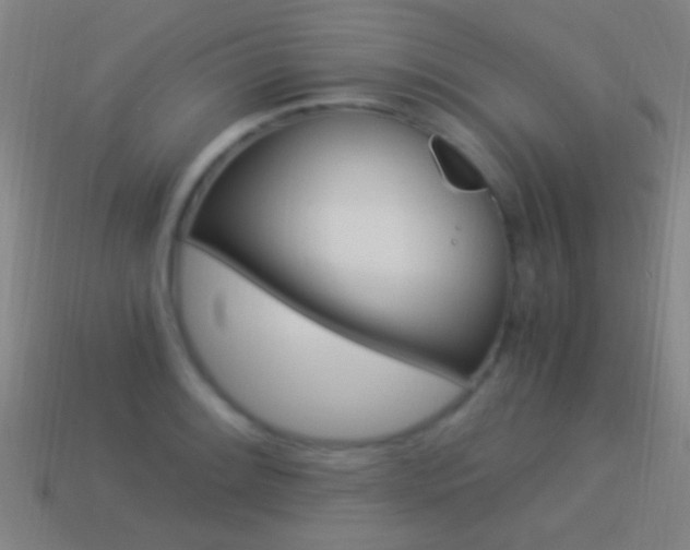 X0000114521084200910190945