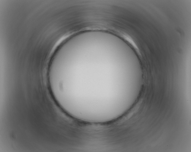 X0000114521087200910190945