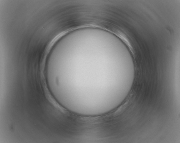 X0000114521088200910190945