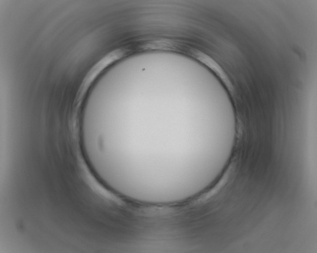 X0000114521090200910190945