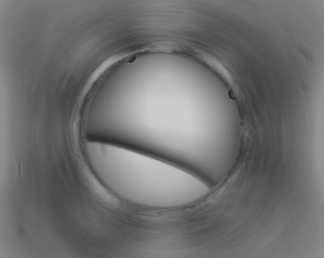 X0000114521091200910190945