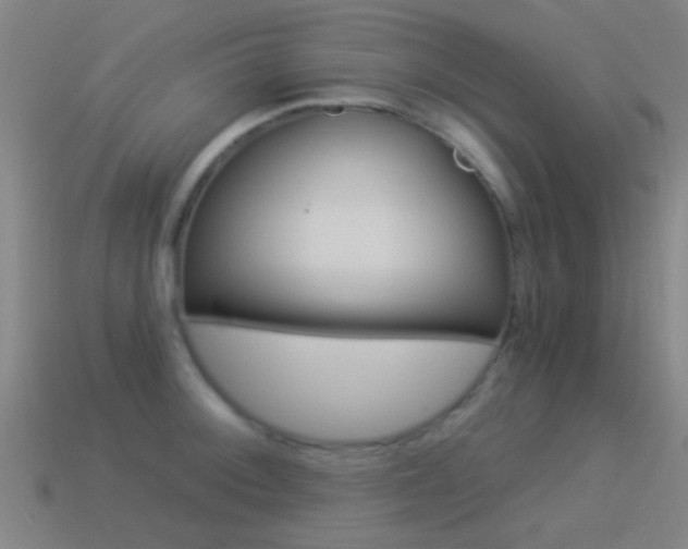 X0000114521092200910190945