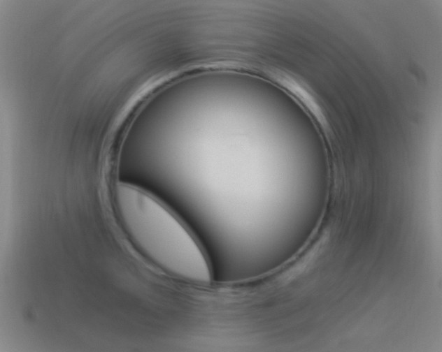 X0000114521093200910190945