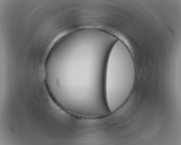 X0000114521095200910190945