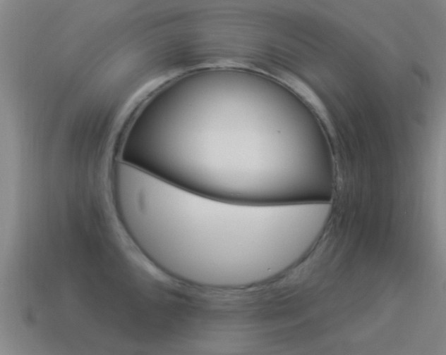X0000114521096200910190945