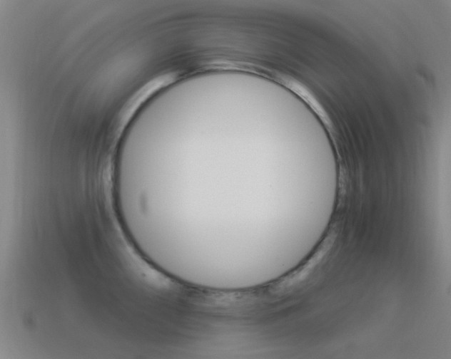 X0000114521098200910190945