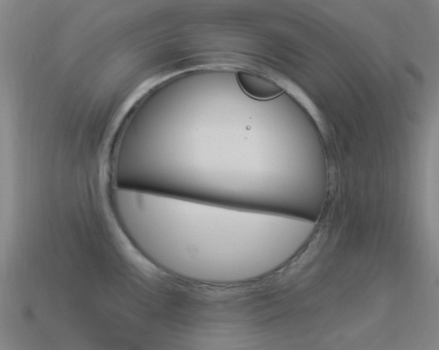 X0000114521099200910190945
