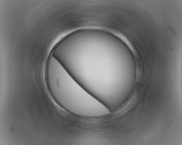 X0000114521101200910190945