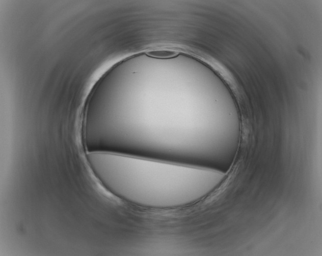 X0000114521102200910190945