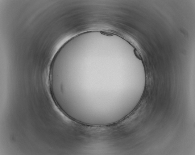 X0000114521103200910190945