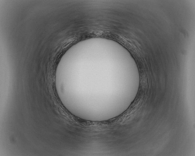 X0000114521105200910190944