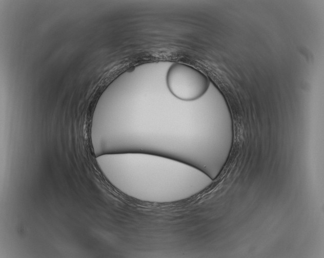 X0000114521106200910190944