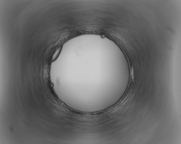 X0000114521107200910190944