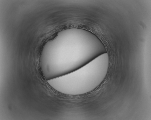 X0000114521109200910190944