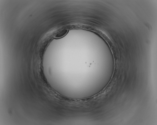 X0000114521111200910190944