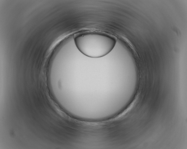 X0000114521114200910190944