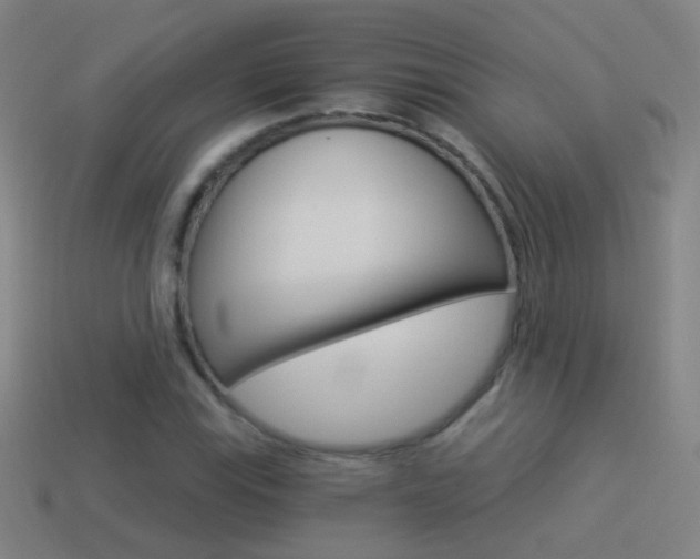 X0000114521115200910190944