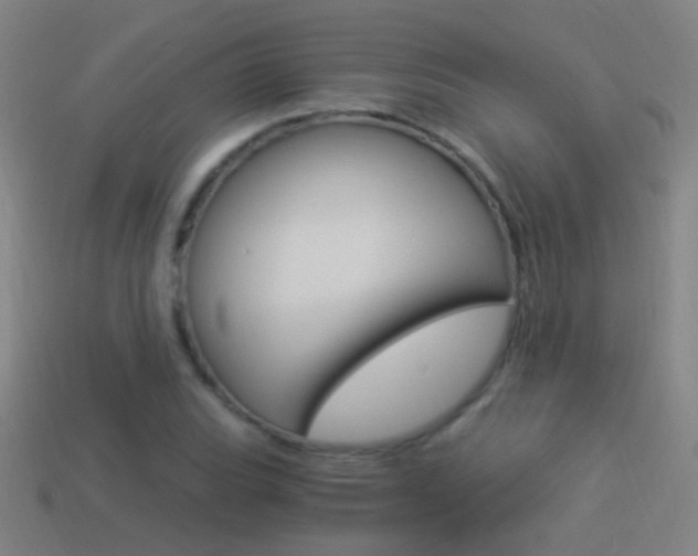 X0000114521119200910190944