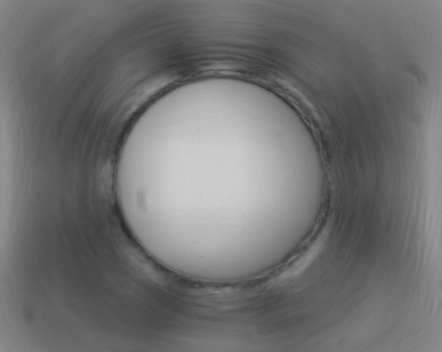 X0000114521121200910190944