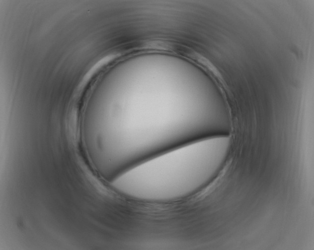 X0000114521123200910190944