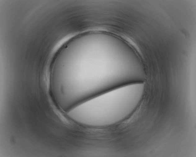 X0000114521127200910190944