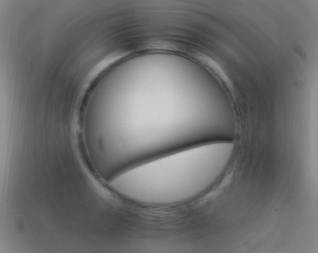 X0000114521133200910190944