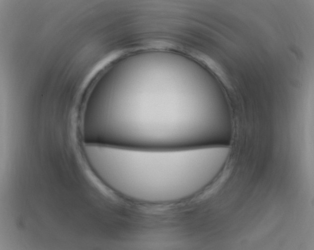X0000114521134200910190944