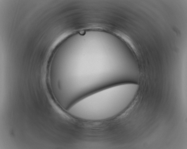 X0000114521135200910190944