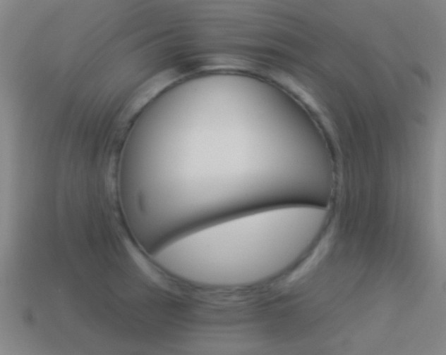 X0000114521137200910190944