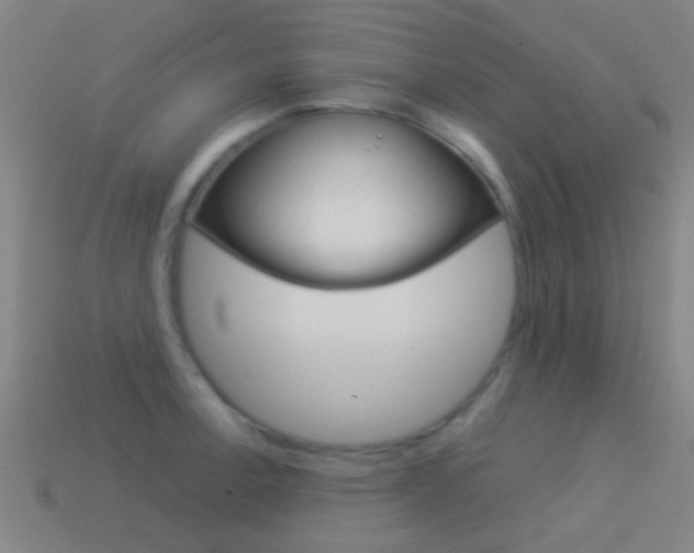 X0000114521138200910190944