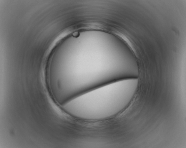 X0000114521139200910190944