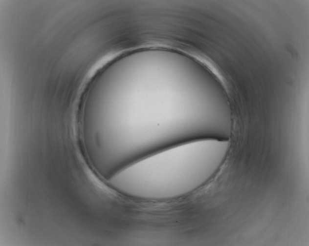 X0000114521143200910190944