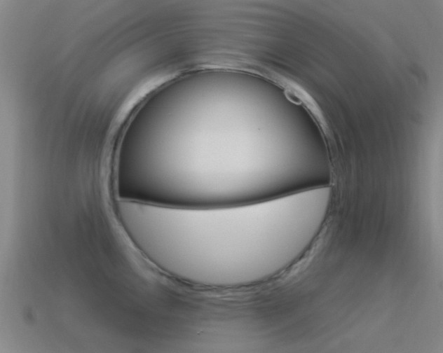 X0000114521146200910190944