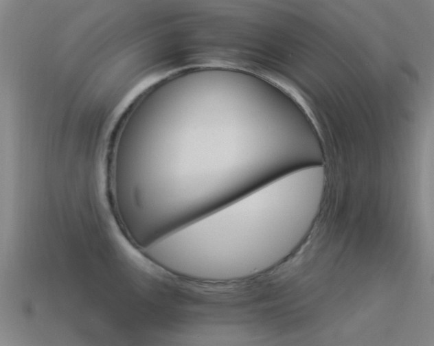 X0000114521147200910190945