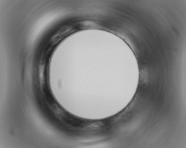 X0000114521150200910190945