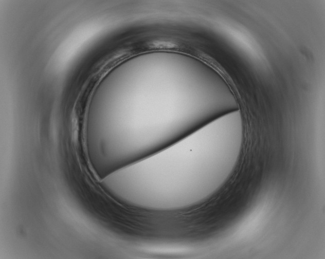 X0000114521151200910190945