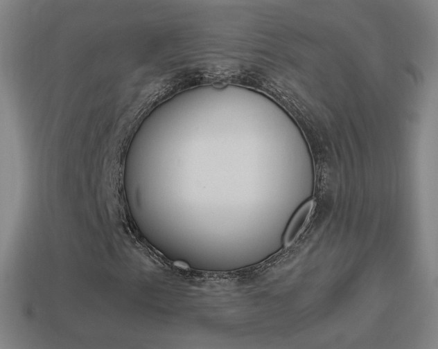 X0000114521153200910190944