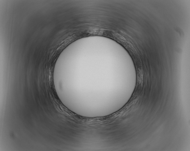 X0000114521154200910190944
