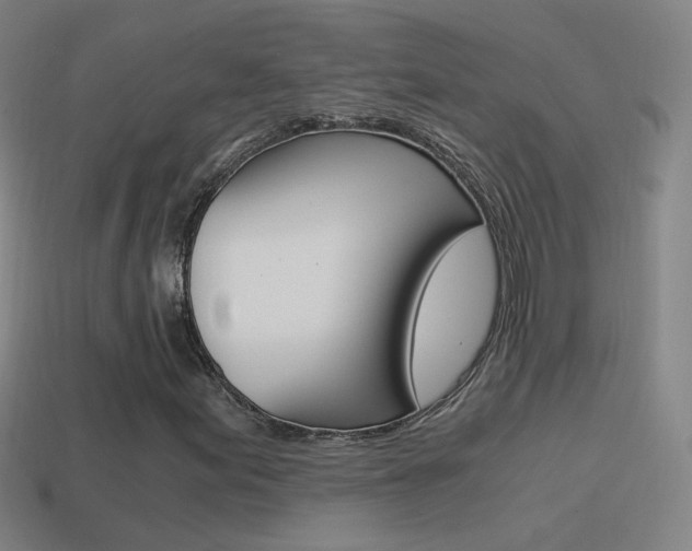 X0000114521155200910190944