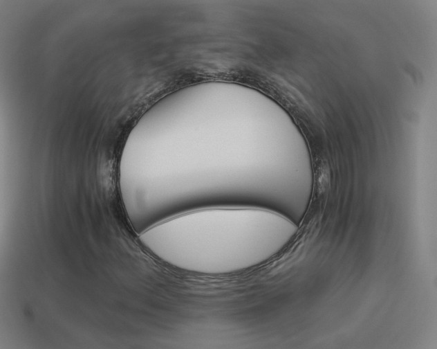 X0000114521156200910190944