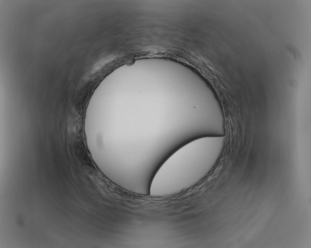 X0000114521158200910190944