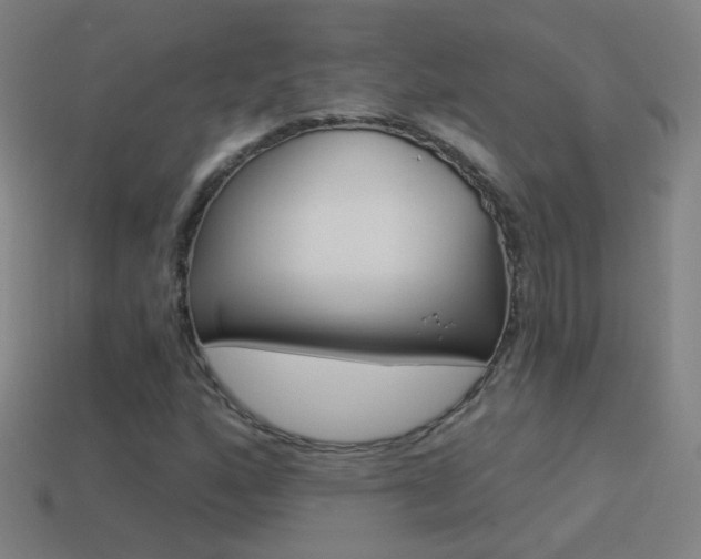X0000114521160200910190944